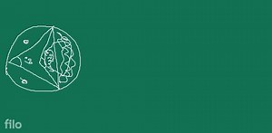 portion of the square. -6. In a circular table cover of radius ... | Filo