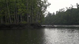 67K views · 2.1K reactions | Topwater explosion~1 | Gong Lei | Facebook