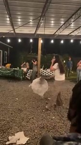 Birthday party goes awry when piñata stick accidentally hits unsuspecting guest