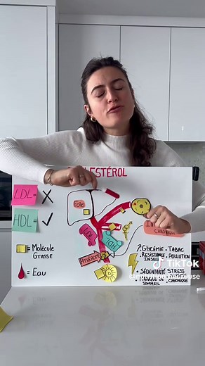 Comprendre le Cholestérol et le LDL Élevé