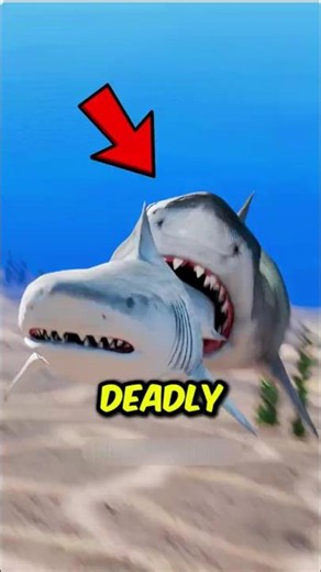 The World's Deadliest Ocean Creature