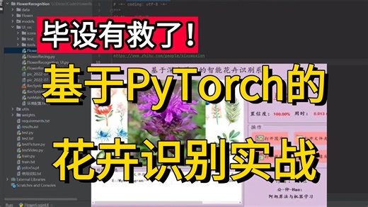 毕设有救了！机器学习入门实战：AI算法大佬手把手教你基于Pytorch框架的花卉图像识别实战，附完整数据集！AI/图像识别/pytorch/机器学习/深度学习/