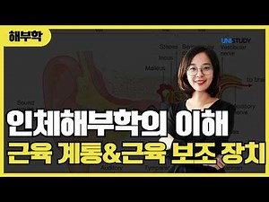 [Unistudy] Understanding Human Anatomy | Muscular System & Muscle Assist Devices