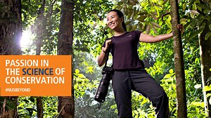 “My lifelong hobby is primate-watching — my retirement dream is to see all 514 species of primates.” — NUS Science alumna Dr Andie Ang, an award-winning Research Scientist with the Wildlife Reserves Singapore Conservation Fund and President of the Jane Goodall Institute (Singapore). Thanks to the mentorship from her NUS professor, Andie is now pursuing her passion and saving the critically endangered Raffles’ Banded Langurs in Singapore. Read her story at nus.edu/nusbeyond-andie. #NUSCares #NUSR
