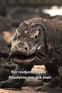 Predator Fail: When Prey Attacks - Movie