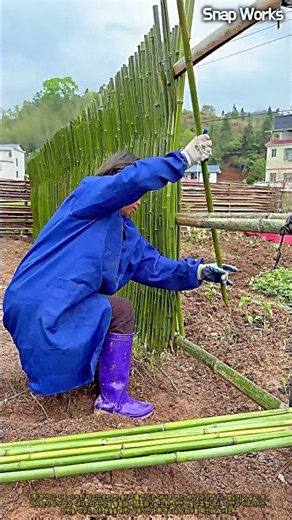 전통 대나무 조립: 천연 대나무 울타리 설치 과정 #worker #process #bamboo #fence #construction