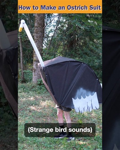 I Built a Giant Ostrich Suit. You Can Too.