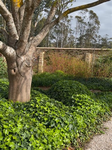 Our Australian Gardens on Reels