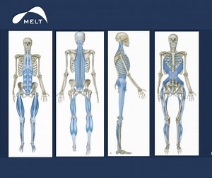 1.1K views · 51 reactions | Most new MELTers aren't aware that there...