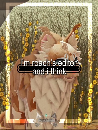 #wcue || I HATEEE filming by myself but I love public filming sob