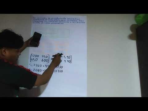 APLICACIONES DE MATRICES