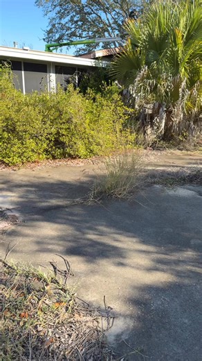 🌤️ Good morning, Spring Hill! Out here blessing another homeowner today — they just bought this place and the yard’s been neglected for about three years. So Trent’s Tree Service is doing what we do best: full clean-out, fresh start, and a whole lot of integrity behind every cut. Feels amazing out here… perfect weather to roll up the sleeves, clear the overgrowth, open things up, and let this property breathe again. 🙌🌳 And hey — while we’re out here serving our community, don’t forget… ✨ We’r