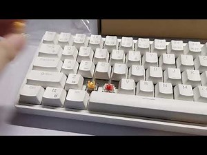 SOUND TEST : STOCK OUTEMU SILENT HONEY PEACH VS HUANO RED