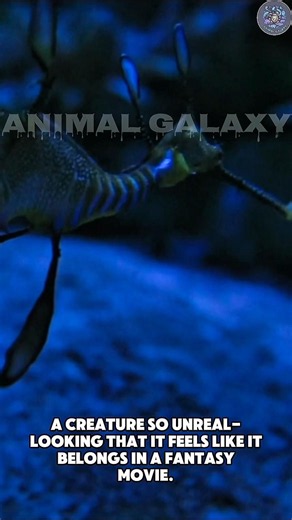 This Isn’t a Plant… It’s a Living Sea Dragon 😳🍃