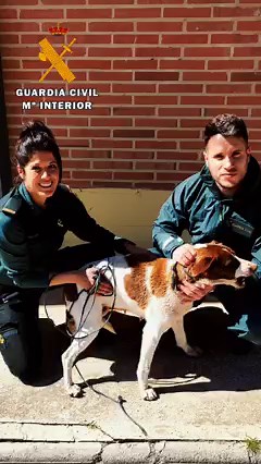 5.9K views · 441 reactions | "En el ejercicio de sus funciones...