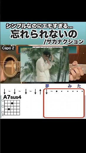 忘れられないの/サカナクション/ギター/コード/弾き語り/初心者向け/簡単