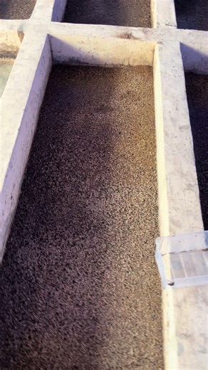 Once you own a BSF facility all you will be doing is recycling, it a steady feed for your livestock
