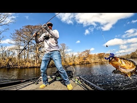 LAST MINUTE CULL Saves My FIRST BASS TOURNAMENT!! || Chowan River