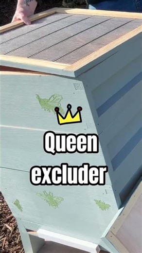 New national bee hive setup ready for my bees 🐝