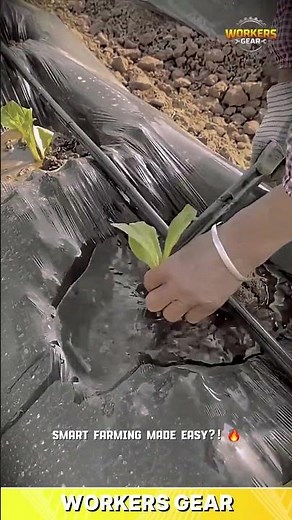 Efficient Drip Irrigation Tool for Plant Watering & Soil Hydration in Mulched Farming Beds