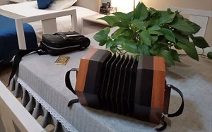 《桑塔露琪亚》#anglo concertina