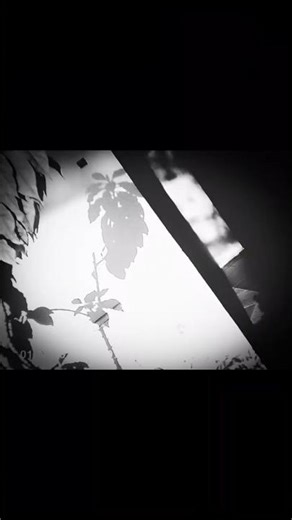 Cinematic Reality Singapore fine art Street Photography