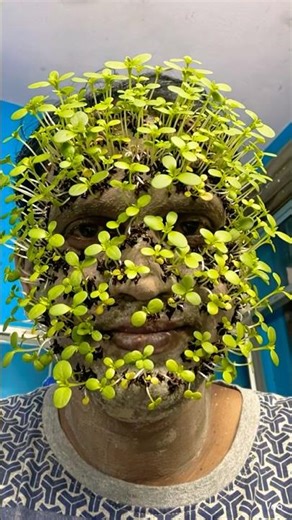 What the $&@“” #in #indianexplorers #memories #travel #vlogs #moments #funnyvideo #aishorts #newreel