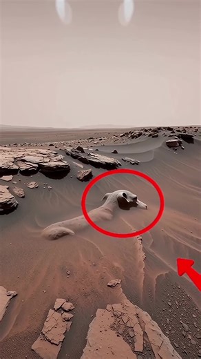 NASA Unveils Stunning New Mars Footage