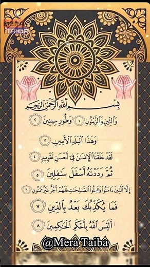 SURAH AT-TIN (سورة التين) - EgzonIbrahimi🤲 #egzonibrahimi #surahattin#quranrecitation#quran#trending