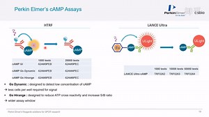 GPCR细胞膜结合实验以及功能性检测