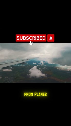 They Dropped BEAVERS Out of Planes… And It Worked?! 😱