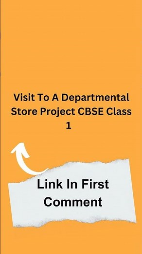 Visit To A Departmental Store Project CBSE Class 11