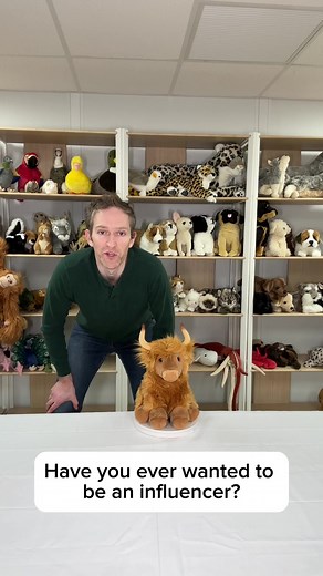 We’re looking for Tiktok Shop influencers to help sell our products on commission! #tiktokshop #influencer #plush #stuffedanimals #plushies #plushtoys #toys #highlandcow #commission