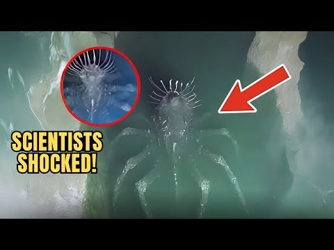 HUGE Mysterious Deep-Sea Creature Discovered by Scientists | Caught on Camera