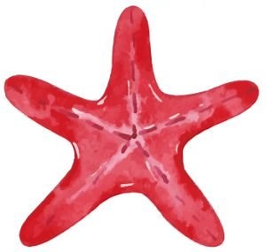 Cebu Seaview Dive Resort - Cebu Seaview Dive Resort