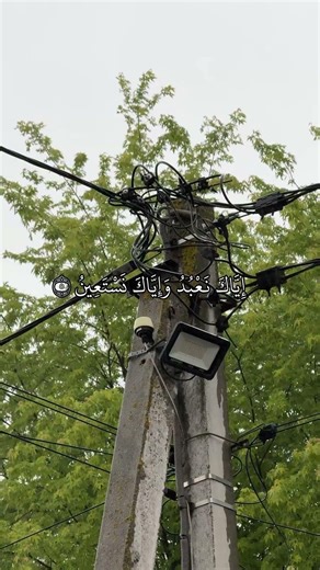 أعظم سورة في القرآن تريح القلب ❤️ سورة الفاتحة من آية ١ إلى آية ٧