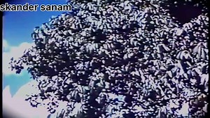 Documentary OF HUNZA NAGAR century 1954 | Iskander Sanam