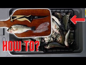 How To Fillet White Perch