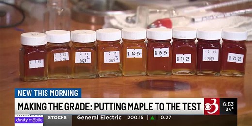 An inside look at maple syrup grading