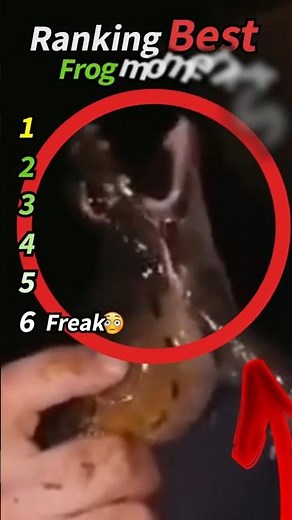 Ranking Best Frogs Moments 🐸🏆 (Funny Frog and Memes!) #frog #animals