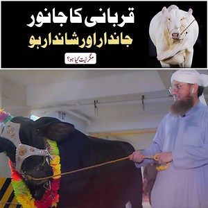 2.8M views · 231K reactions | عید منائیں غریبوں کے ساتھ قربانی کے ان...