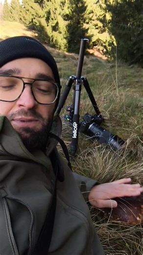 15K views · 387 reactions | Zašto lupkamo Vrganje po Klobuku??? | Rizvanovic Almir | Facebook