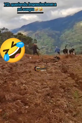 324K views · 655 reactions | YO - Queriendo imprecionar en la trabajación a mis cuñados藍藍. | Radio Eclipse Digital HD | Facebook