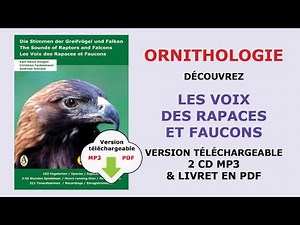 Les voix des rapaces et faucons (2 CD MP3/PDF) [Offre "17000 vues" à découvrir]