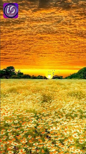 Hindi Instrumental Music | Bollywood Piano Songs | Romantic & Relaxing Soft Instrumental 🎹 #music