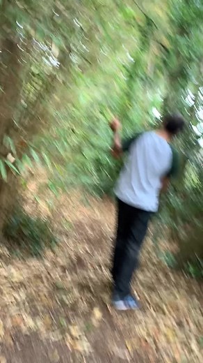 Thistourettesguy on TikTok