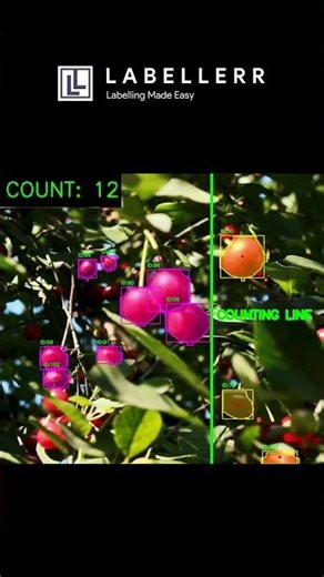 AI That Counts Fruits on a Farm in Real Time