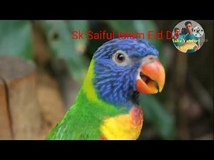 Bizzey - Traag ft. Jozo & Kraantje Pappie (prod.