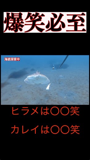 ヒラメとカレイの違いは〇〇です。ふざけないで下さい。 #釣り #fishing #undersea #fish #ヒラメ #アクションカメラ #ジギング