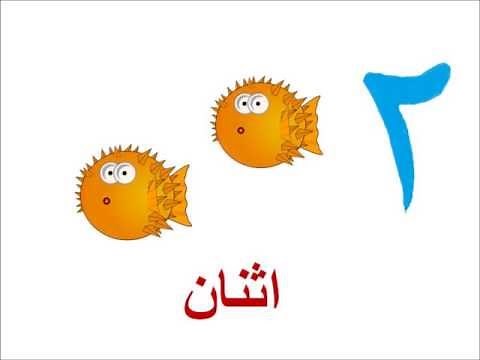 الأرقام العربية - Arabic Numbers Song For Children